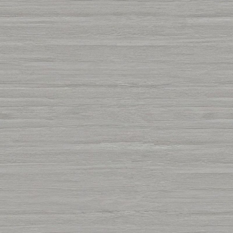 509#Golden Autumn Larch