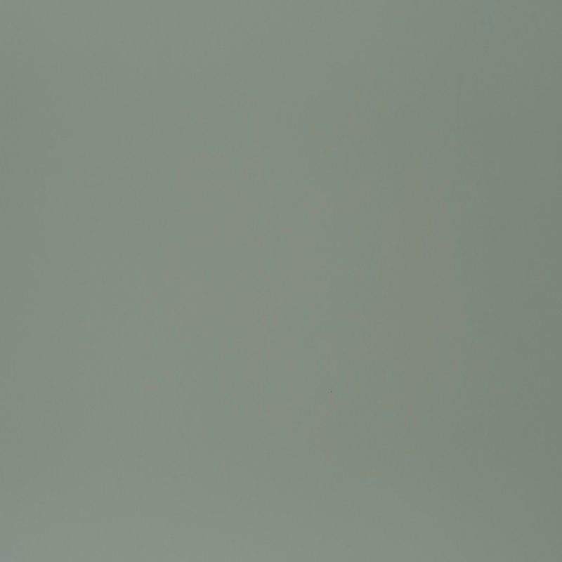 6319#Light green matte finish